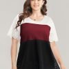 Colorblock Contrast Scalloped Trim Laser Cut Crew Neck T-shirt