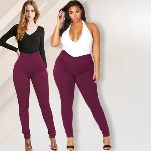 HIGH-RISE STRETCH PLUS SIZE JEANS